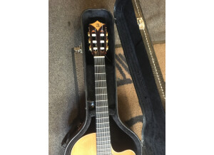 Alhambra Guitars CS-3 CW E1