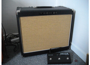 Tech 21 Trademark 60 1x12 (3635)