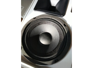 Audiophony S6w (19047)