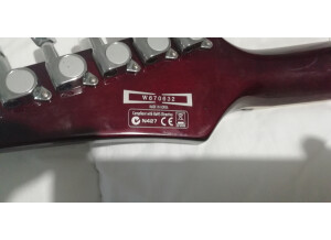 Ibanez SAS36FM (30841)