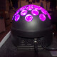 LED-FEVER LED-FEVER
