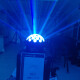 LED-FEVER LED-FEVER