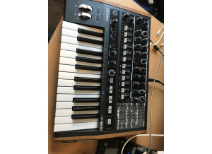 Arturia MiniBrute 2 (45101)