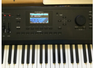 Kurzweil Forte (48379)