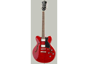 Hofner Guitars Verythin CT (62559)