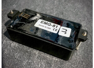EMG 81 (6503)