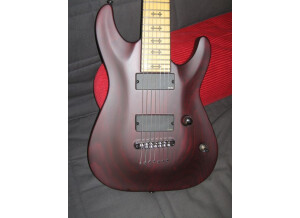 Schecter Loomis 7 ToM