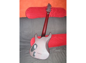 Schecter Loomis 7 ToM