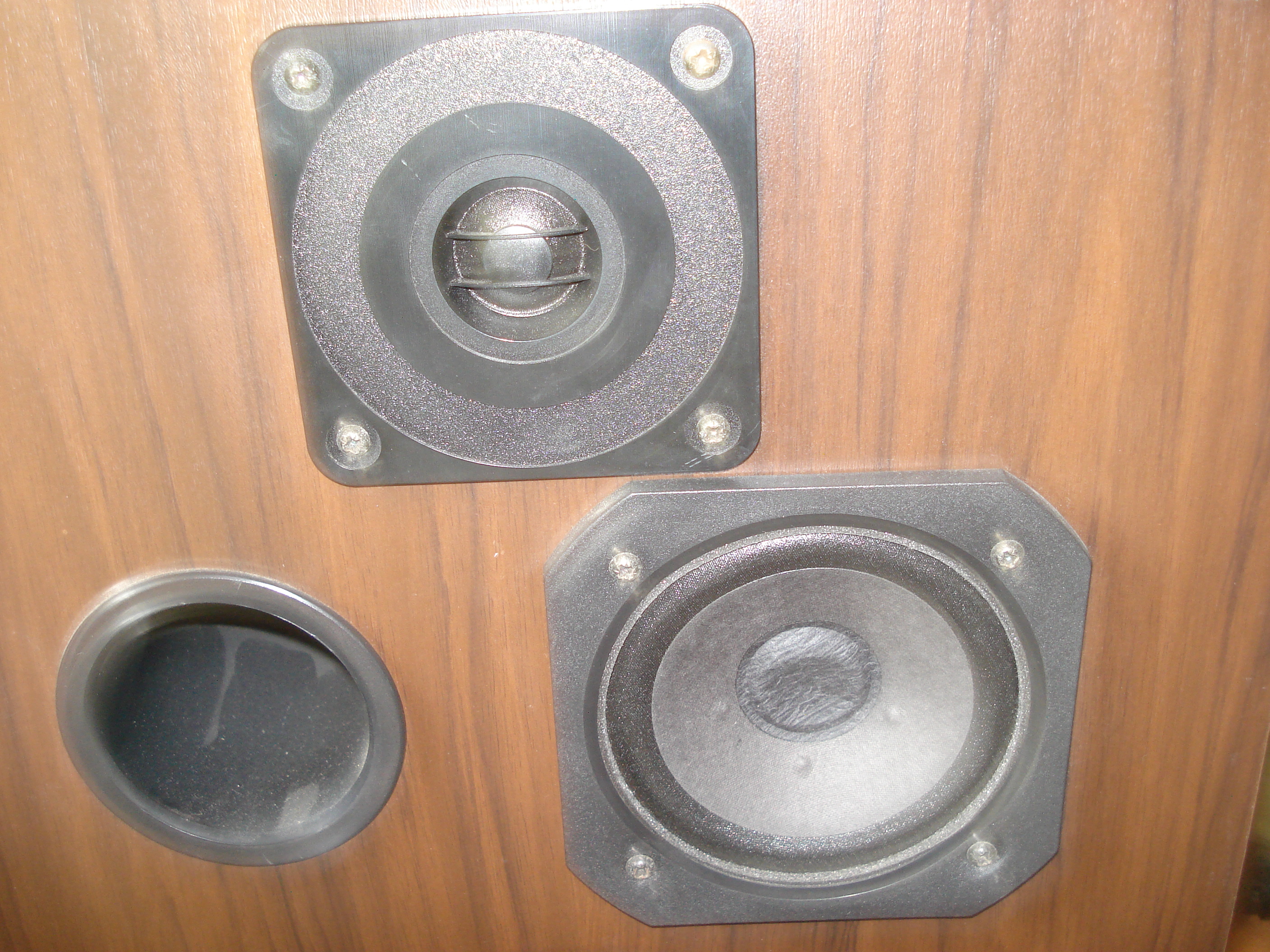 enceinte3a (2).JPG
