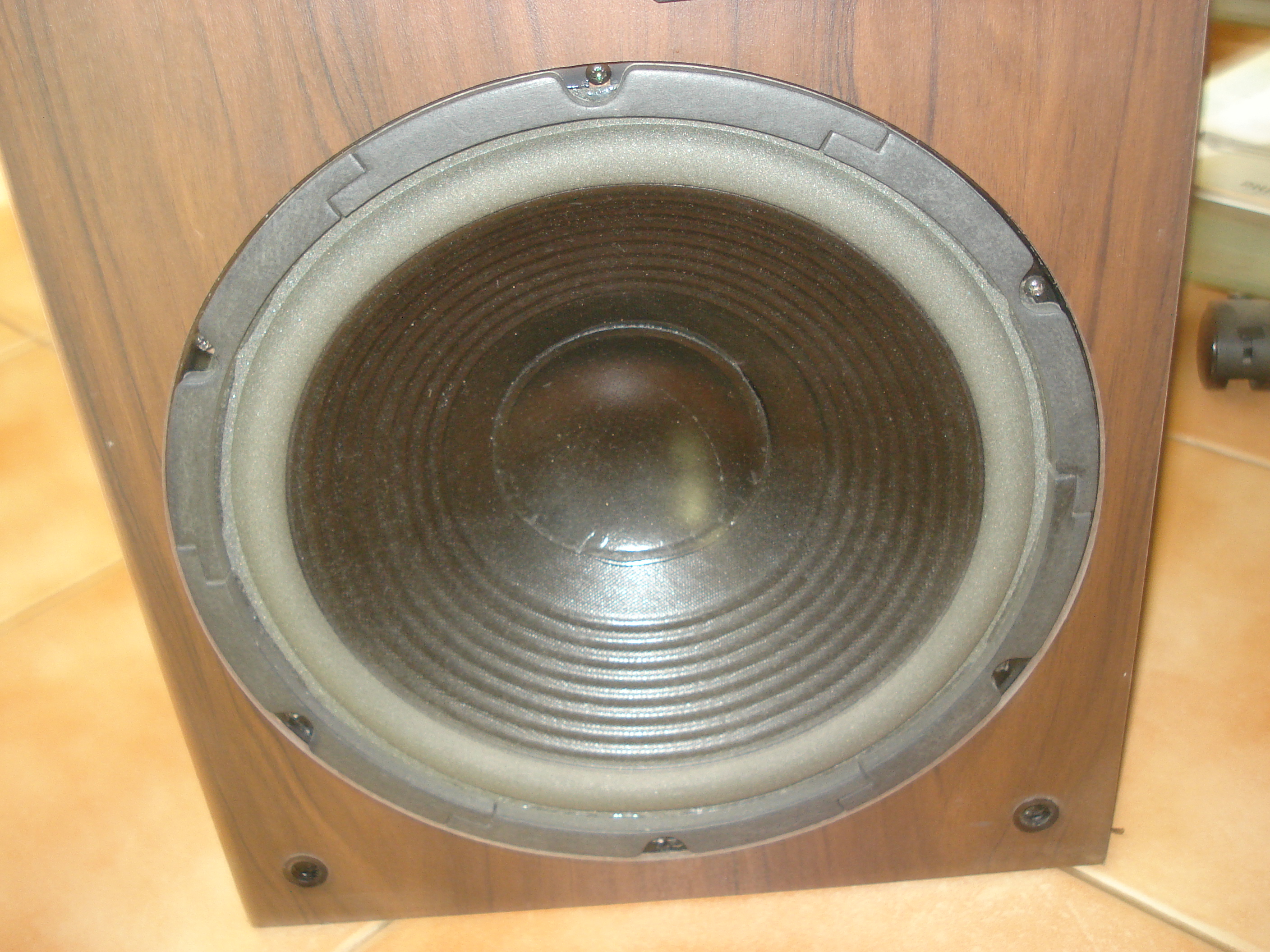 enceinte3a (3).JPG