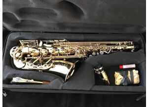 sax1