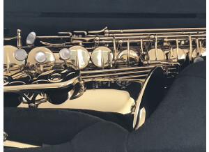 sax7
