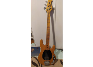 Phil Jones Bass Cub BG-100 (38424)