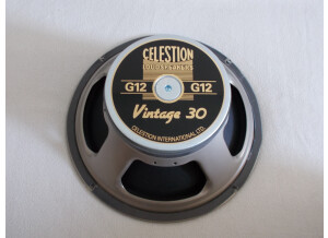 Celestion V30 01.JPG