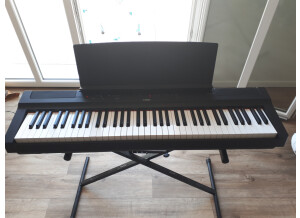 Yamaha P-121 Digital Piano