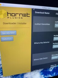 Hornet DoIN Hornet DoIN