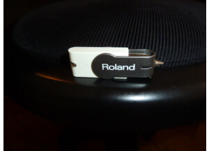 Roland FP-5 (35545)