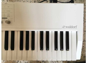 Waldorf Blofeld Keyboard (33233)