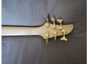 Sandberg (Bass) California VM 5 (28480)