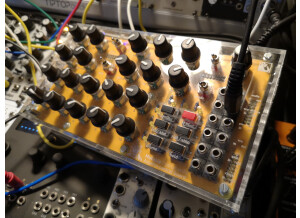 Mutable Instruments Anushri (41464)