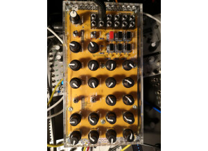 Mutable Instruments Anushri (20836)