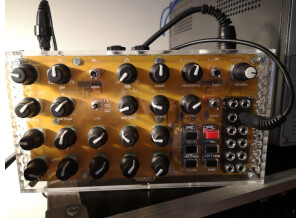 Mutable Instruments Anushri (56832)