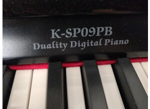 Keywood K-SP09