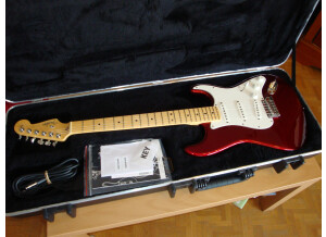 Fender Stratocaster new american standard