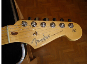 Fender Stratocaster new american standard