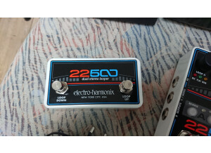 Electro-Harmonix 22500 Dual Stereo Looper (53034)