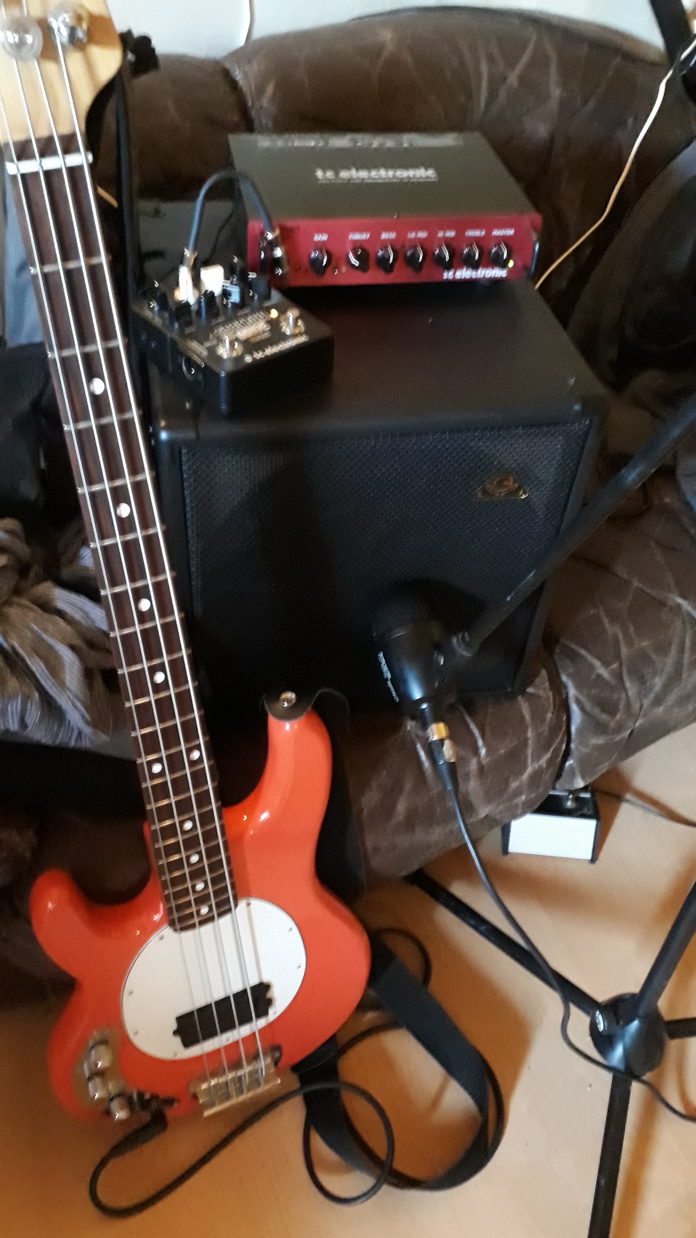 Guitar Sound Systems Single12