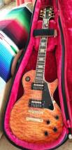 Raven West Guitar RM 300 DX