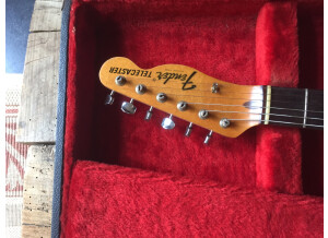 Fender Telecaster (1969) (14989)