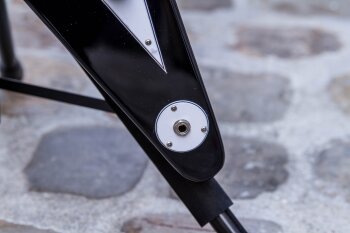 EpiFlyingV-10 EpiFlyingV-10