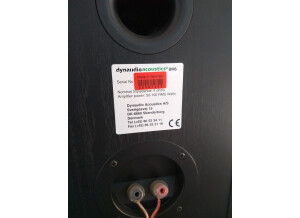 Dynaudio BM6 (65940)