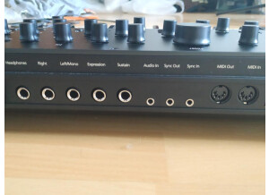 Modal Electronics Argon8 (36146)