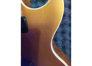 Gibson Original Les Paul Standard '50s P90 (78005)