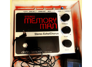 Electro-Harmonix Deluxe Memory Man Mk4 (70782)