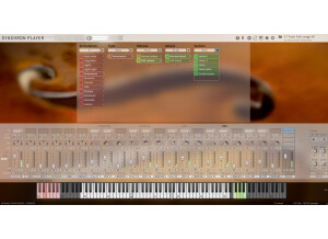 VSL (Vienna Symphonic Library) Synchron Strings Pro