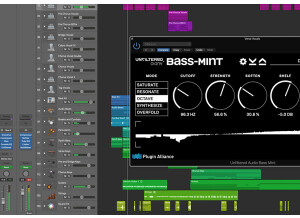 Unfiltered Audio Bass-Mint (22707)