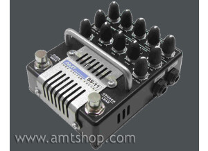 Amt Electronics [Tube Guitar Series] SS-11 Guitar Preamp