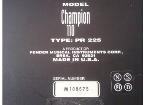 Fender Champion 110 (66178)
