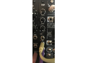 Erica Synths Pico DSP (7158)