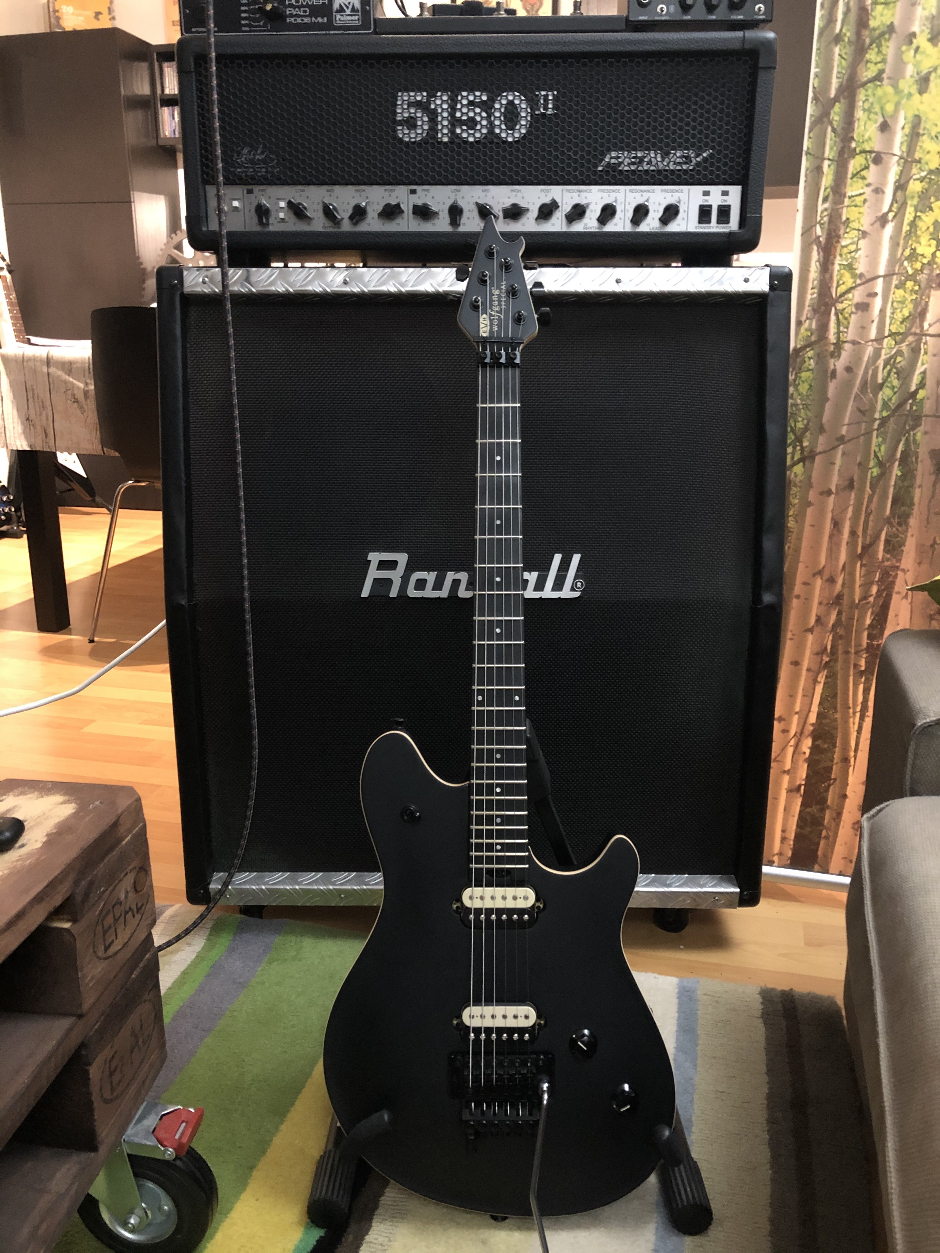 EVH Wolfgang Stealth
