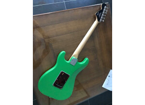 Fender JM66 (89619)