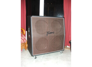 Framus Dragon 4X12 (9158)