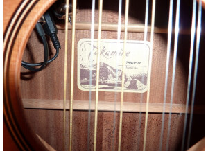 Takamine Guitare 12 cordes Tan 10/12