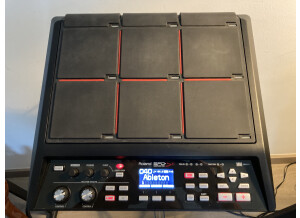 Roland SPD-SX (1207)