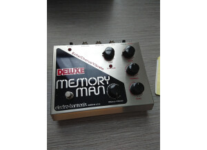 Electro-Harmonix Deluxe Memory Man Mk4 (4352)