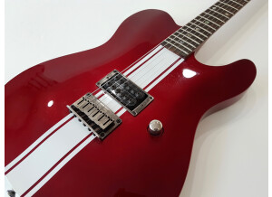 Fender Special Edition Esquire Custom GT (62849)